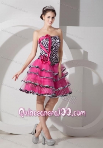 Zebra Hot Pink A-line Strapless Layered Organza Dama Dress