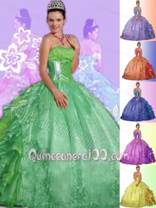 Spring Green Ball Gown Strapless Floor-length Organza Embroidery Quinceanera Dress