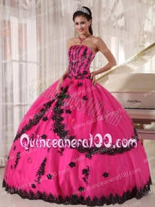 Hot Pink Ball Gown Strapless Floor-length Appliques Quinceanera Dress