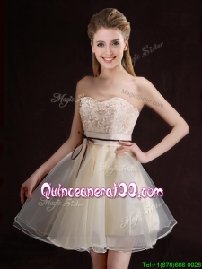 2017 Gorgeous Belted and Applique Short Dama Dress in Organza