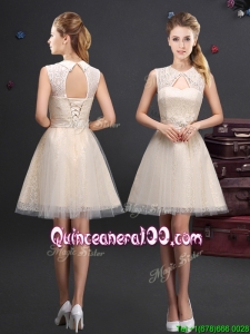 2017 Discount Turndown Short Dama Dress with Appliques and Lace