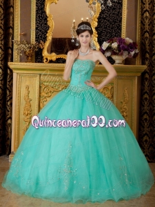 2014 Turquoise Ball Gown Strapless Organza Beading Quinceanera Dress with Beading