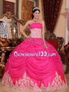 Appliqued Waist and Hem Hot Pink 2014 Quinceanera Dress with Pick ups