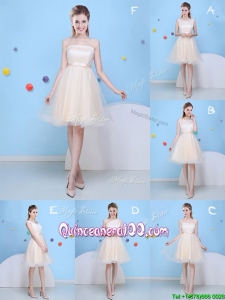 Latest Champagne Tulle A Line Dama Dress with Bowknot