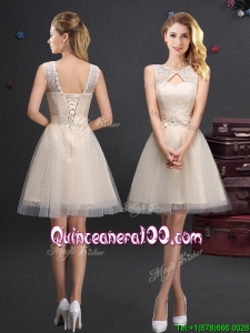 Hot Sale Scoop Laced and Applique Champagne Dama Dress