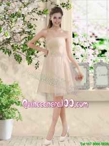 Pretty Comfortable Strapless Champagne Dama Dresses with Knee Length