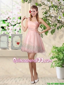 Pretty Affordable A Line One Shoulder Appliques Dama Dresses in Pink