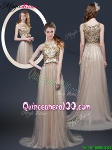 Luxurious Brush Train Mother Dresses with Appliques and Bowknot
