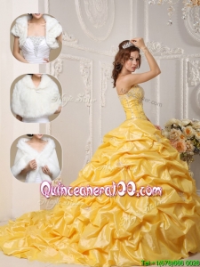 Perfect Court Train Quinceanera Gowns with Pick Ups and Appliques