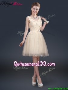 Lovely Scoop Dama Dresses for Quinceanera with Appliques and Belt