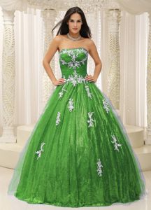 Wonderful Spring Green Paillette Sweet 16 Dress with Appliques