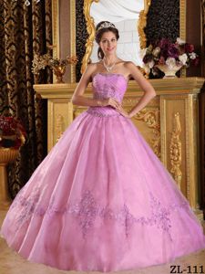 Floor-length Sweet 16th Dress in Pink with Appliques in Tulle