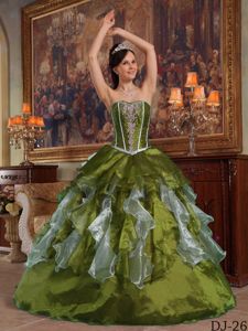 Olive Green Organza Beaded Quinceanera Dress with Ruffles