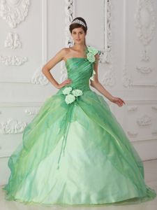 Single Strap Apple Green Beaded Flowers Dress for Quince