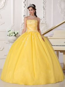 Golden Ball Gown Strapless Floor-length Taffeta and Tulle Appliques Quinceanera Dress