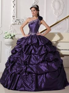Dark Purple One Shoulder Appliques and Pick-ups Quinceanera Dress