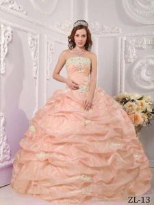 Strapless Appliques Ball Gown Pick-ups Dresses for Quinceanera