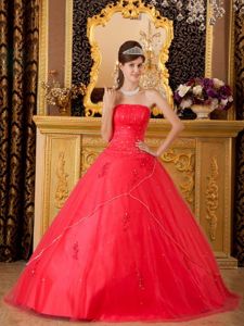 A-line Strapless Appliques Quinceanera Dresses in Coral Red