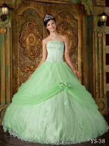 Apple Green Ball Gown Strapless Appliques Quinceanera Gown