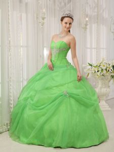 New Style Spring Green Appliques Sweetheart Quinceanera Dress with Pick-ups