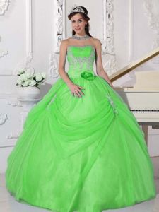 Appliques and Hand Made Flower Strapless Spring Green Quinceanera Dress