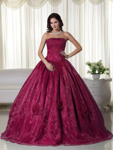 Appliques and Hand Made Flowers Strapless Quinceanera Dress in Wine Red
