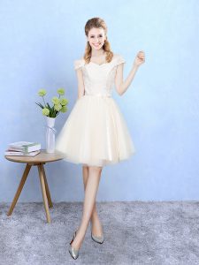Champagne Dama Dress for Quinceanera For with Lace Off The Shoulder Cap Sleeves Lace Up
