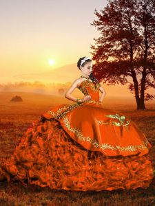 Custom Designed Embroidery and Ruffles Quinceanera Gown Rust Red Lace Up Sleeveless Brush Train