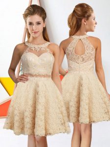 Sleeveless Knee Length Lace Zipper Dama Dress for Quinceanera with Champagne