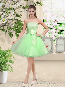 Best Selling Organza Off The Shoulder Sleeveless Lace Up Lace and Belt Quinceanera Dama Dress in