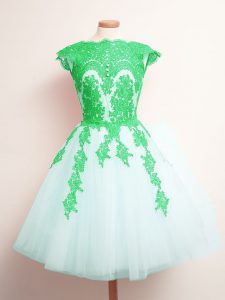 Tulle Sleeveless Mini Length Quinceanera Court Dresses and Appliques
