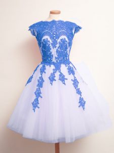 Blue And White Sleeveless Appliques Knee Length Dama Dress