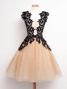 Perfect Champagne Lace Up Straps Lace Dama Dress Tulle Sleeveless