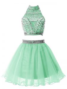 Beautiful Knee Length A-line Sleeveless Apple Green Court Dresses for Sweet 16 Zipper