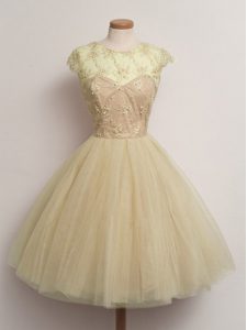 Tulle Scoop Cap Sleeves Lace Up Lace Quinceanera Court of Honor Dress in Champagne