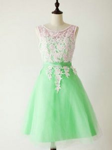 Modern Apple Green Lace Up Scoop Lace Dama Dress Tulle Sleeveless