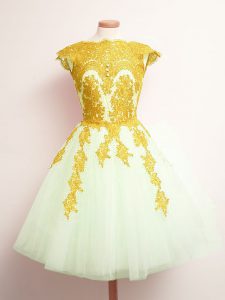 Custom Designed Tulle Scalloped Sleeveless Lace Up Appliques Dama Dress for Quinceanera in Multi-color