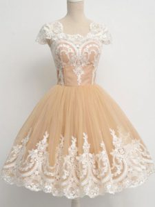 Edgy Champagne A-line Tulle Square Cap Sleeves Lace Knee Length Zipper Court Dresses for Sweet 16