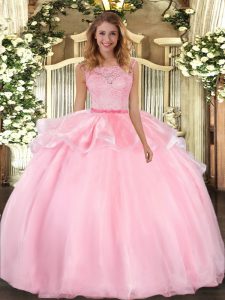 Dynamic Pink Organza Clasp Handle Quinceanera Dress Sleeveless Floor Length Lace