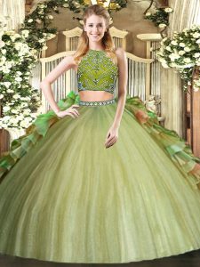 Fitting Olive Green Tulle Zipper 15 Quinceanera Dress Sleeveless Floor Length Beading and Ruffles