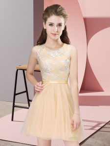Elegant Champagne A-line Scoop Sleeveless Tulle Mini Length Side Zipper Lace Court Dresses for Sweet 16