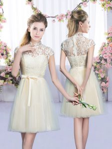 New Arrival Empire Dama Dress for Quinceanera Champagne High-neck Tulle Cap Sleeves Mini Length Lace Up