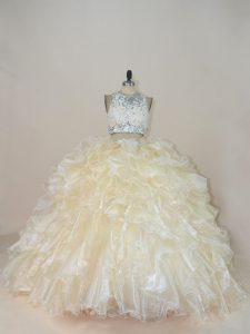 Sleeveless Brush Train Zipper Beading and Lace Quinceanera Gowns