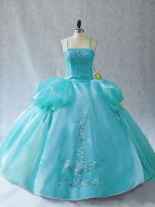 Organza Sleeveless Floor Length Quinceanera Dresses and Appliques
