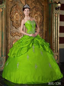 Beautiful Spring Green Ball Gown Appliqued Dress for Sweet 15