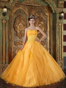 Ball Gown Sweetheart Appliqued Ruched Orange Quince Dresses
