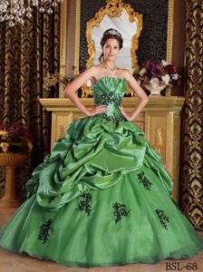 New Style A-line Appliqued Green Dress for Quince for Wholesale