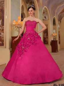 Plus Size Sweetheart Hot Pink Quinceanera Dress with Flowers