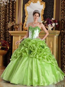 Yellow Green Sweetheart Quinceanera Gown Dress with Flowers