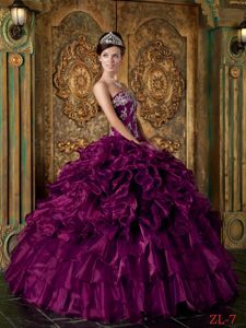 Eggplant Purple Ball Gown Appliqued Sweet 15/16 Birthday Dress